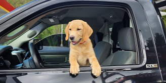 Gatlen advises to call the Hook Image