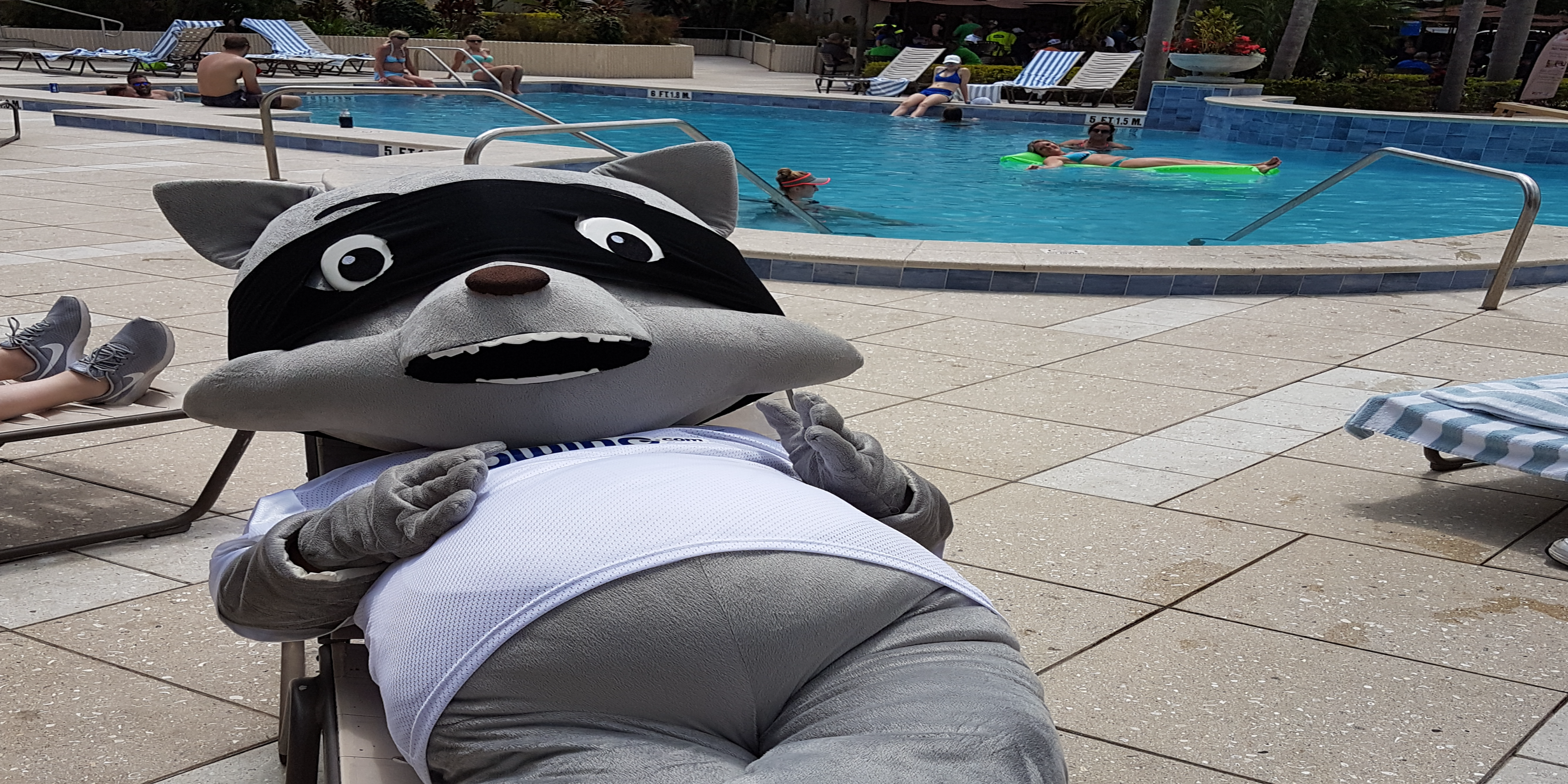 Service Description for Towing Image